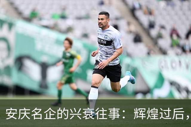 安庆名企的兴衰往事：辉煌过后，惟剩唏嘘
